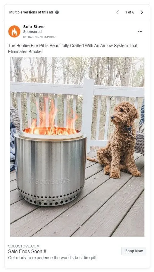 Chubbies