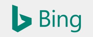 Bing Logo