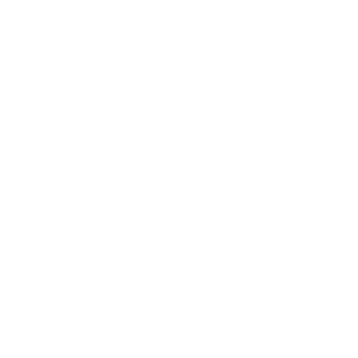 coding 1 1